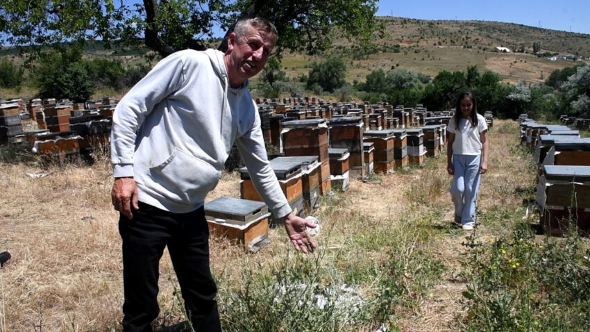 Devlet memurlugundan emekli oldu bu ise basladi bu yil 1500 kilogram uretmeyi hedefliyor TpFgHkgt.jpg