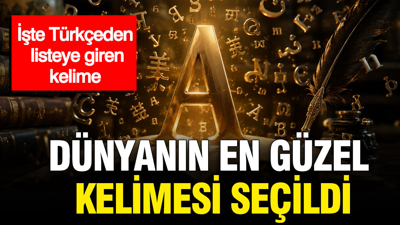 Dunyanin en guzel kelimesi secildi iste turkceden listeye giren kelime pZOv1MV6.jpg