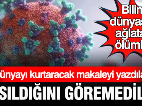 Dunyayi eboladan kurtaracak makaleyi yazdilar ama basildigini goremediler bilim dunyasini aglatan olum f1Ri8kIX.jpg