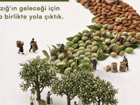 Elazigin taslik yamaclari bademle yeserecek cekuddan 20 bin fidanlik seferberlik yyhOFGIe.jpg