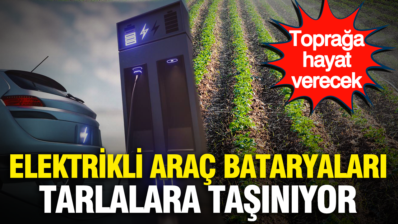 Elektrikli arac bataryalari tarlalara tasiniyor topraga hayat verecek hM5j6ezT.png