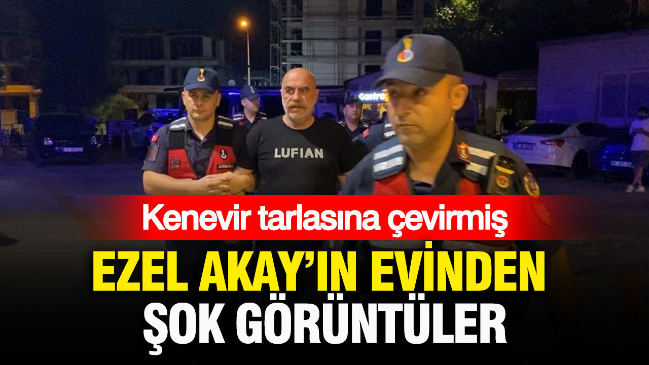 Ezel Akay’ın evinden “pes” dedirten görüntüler: Kenevir tarlasına çevirmiş