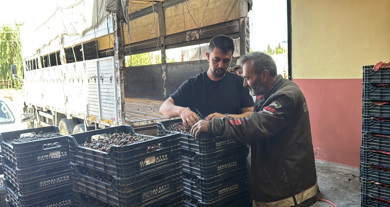 Fabrikalar sıraya girdi: Hasat edilen ürün 40 liradan kapışılıyor