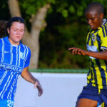 Fenerbahce 2 gunde 8 gol atip iki maci da kazandi T3iwduCO.jpg