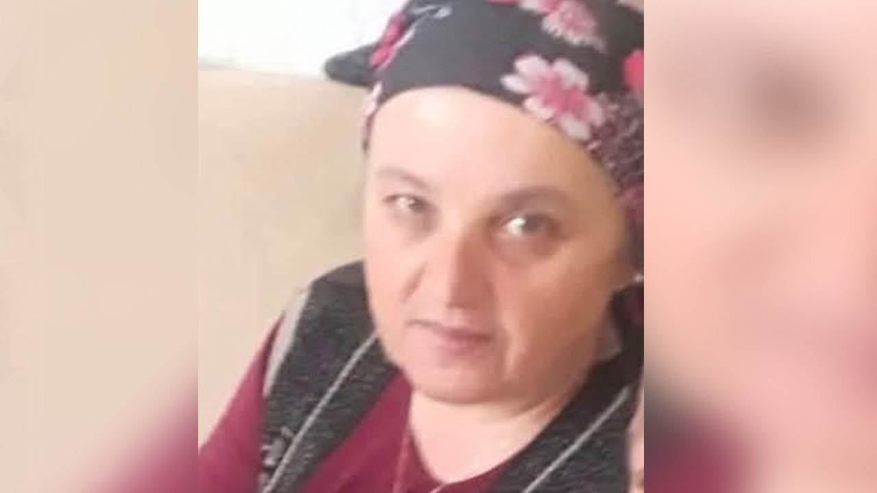 Fındık bahçesinde eşek arısı soktu: 57 yaşındaki kadın yaşamını yitirdi