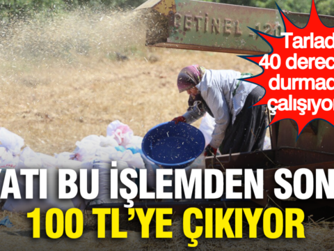 Fiyati bu islemden sonra 100 tlye cikiyor tarlada 40 derecede durmadan calisiyorlar LPI1SpqZ.png