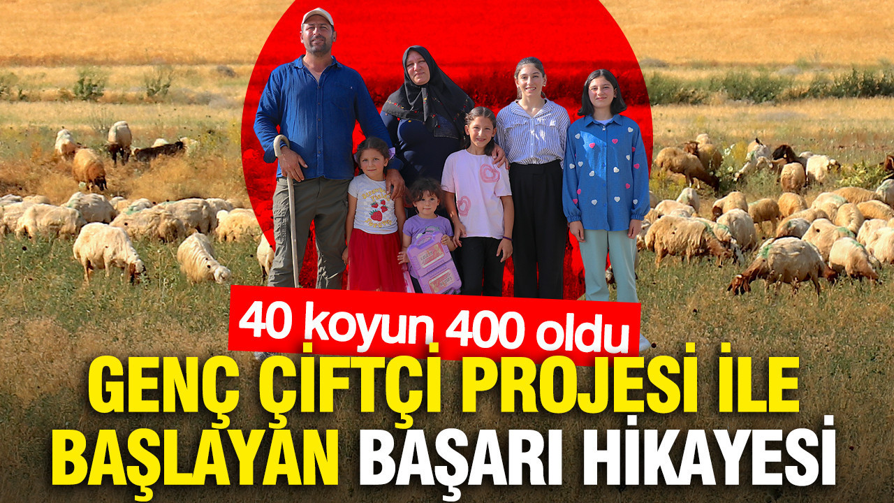Genc ciftci projesi ile baslayan basari hikayesi 40 koyun 400 oldu UDDggdjL.jpg