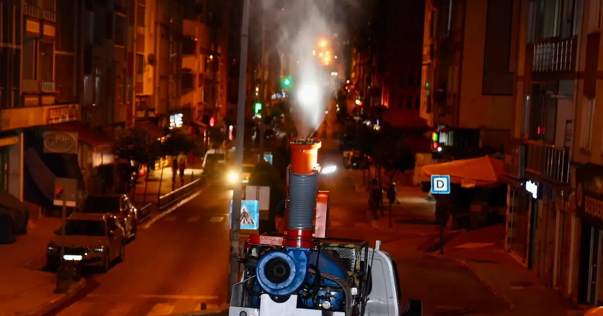 Giresunda gece sinek ucamiyor ZIv4gITq.webp