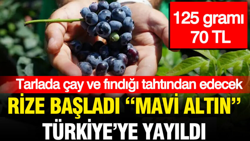 Gram gram servet 125 grami 70 tl olan mavi altin turkiyeyi sardi HZYTj2Hp.jpg