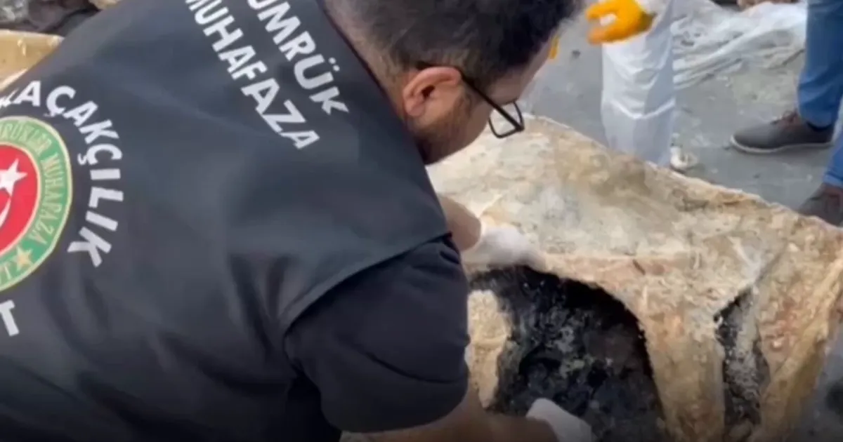 Hamzabeyli’nde yaban hayvanı kaçakçılığına darbe! 2 vaşak ve 2 serval kurtarıldı