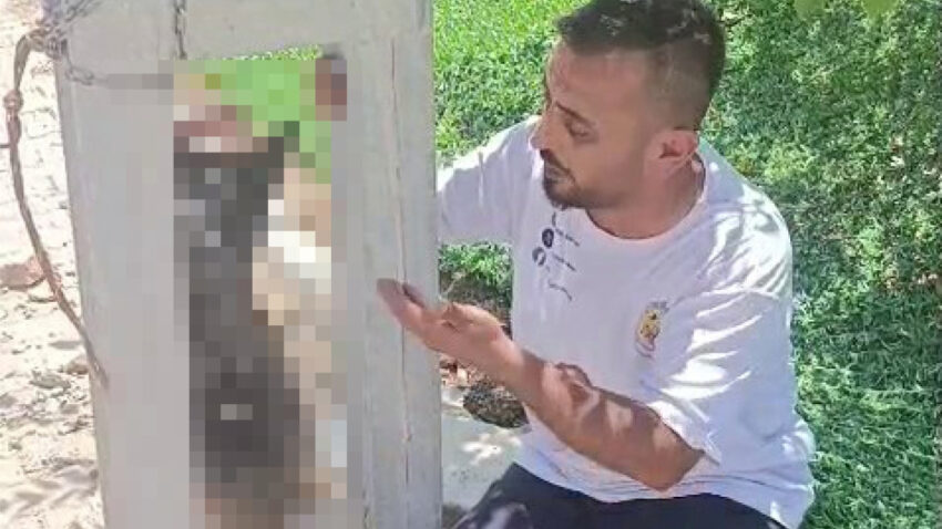 Hatayda dehset olay calinan kopek direge asili halde olu bulundu 83VOG5Kj.jpg