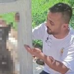 Hatayda korkunc olay kopegi evden calip elektrik diregine astilar yVVnWQL7.jpg