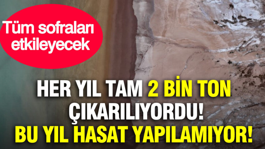 Her yil tam 2 bin ton cikariliyordu bu yil hasat yapilamiyor tum sofralari etkileyecek yNlQUydq.jpg