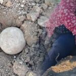 Hicbir benzeri bulunmayan greyfurt buyuklugunde tas kure buldular 2 teori uzerinde duruyorlar Wl1F49vh.jpg