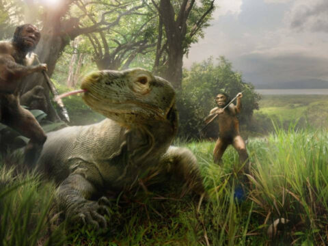 Hobbitler komodo ejderlerinin pesinden gitmis G4kfBmEC.jpg