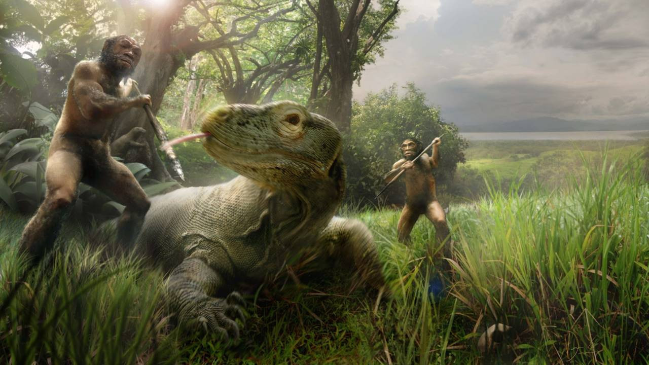 ‘Hobbit’ler, Komodo ejderlerinin peşinden gitmiş