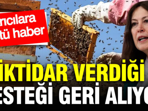 Iktidar verdigi destegi geri aliyor aricilara kotu haber Zc6qa4S3.jpg