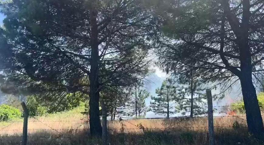 İstanbul’da korkutan yangın! Alevler ormanlık alana sıçradı