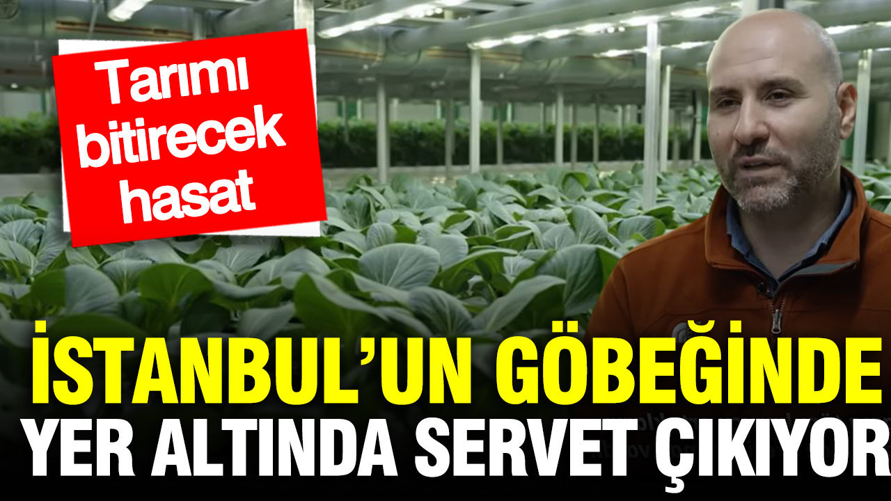 Istanbulun gobeginde yer altindan servet cikiyor tarimi bitirecek hasat MQlgrJL2.jpg