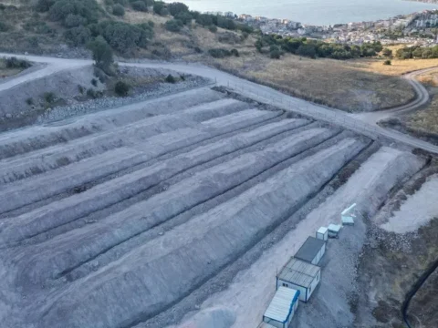 Izmir dikiliye modern hayvan bakimevi WuvJKYHP.webp