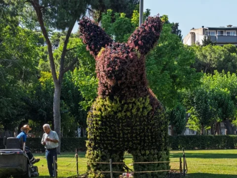 Izmir kulturparktaki dogayla sekillenen figurler ilgi goruyor 8IYD3Hrg.webp