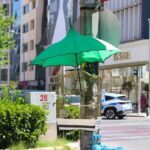 Izmir sokaklarinin yeni fenomeni sakiri kaybedince shakira icin yeni cozum buldu xHU2KLS4.jpg