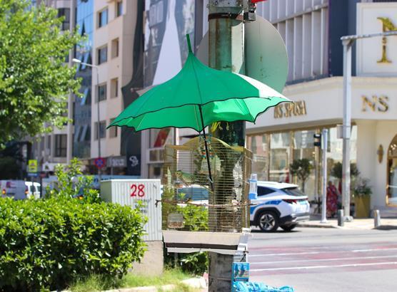 İzmir sokaklarının yeni fenomeni! Şakir’i kaybedince Shakira için yeni çözüm buldu