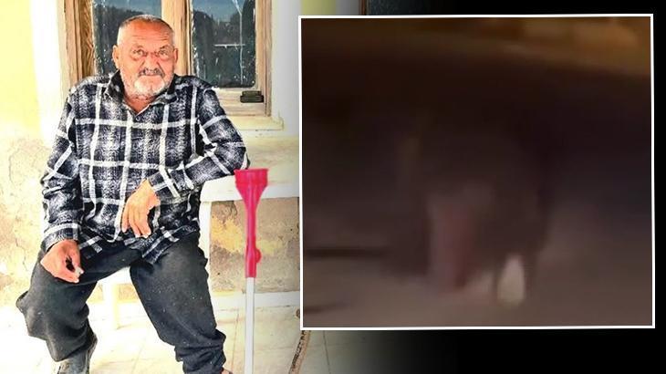 İzmir’de balkonda uyuyan yaşlı adamı sürükleyerek öldürmüştü! Saldırgan ayı 5 gün sonra vuruldu