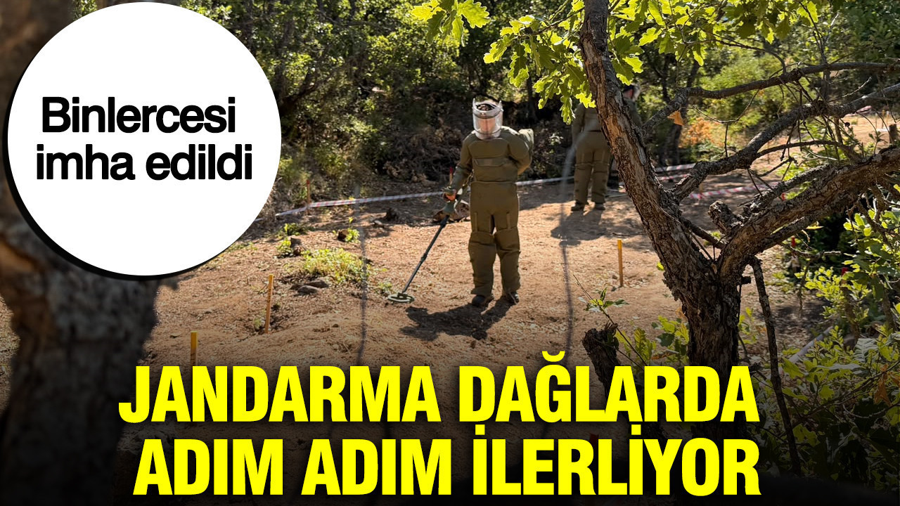 Jandarma dağlarda adım adım ilerliyor: Toprağın altında saklı tehlike tek tek temizleniyor