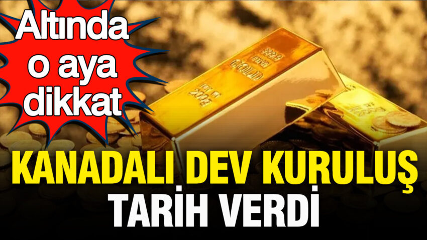 Kanada merkezli dev kurulus kitco altinda tarih verdi altinda eylul ayina dikkat Qe5GflTj.jpg