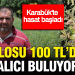 Karabukte hasat basladi kilosu 100 tlden alici buluyor EbAAyNqC.jpg