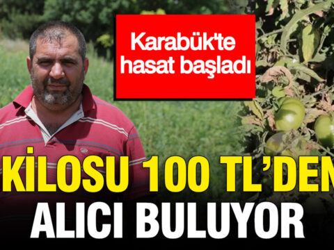 Karabukte hasat basladi kilosu 100 tlden alici buluyor EbAAyNqC.jpg
