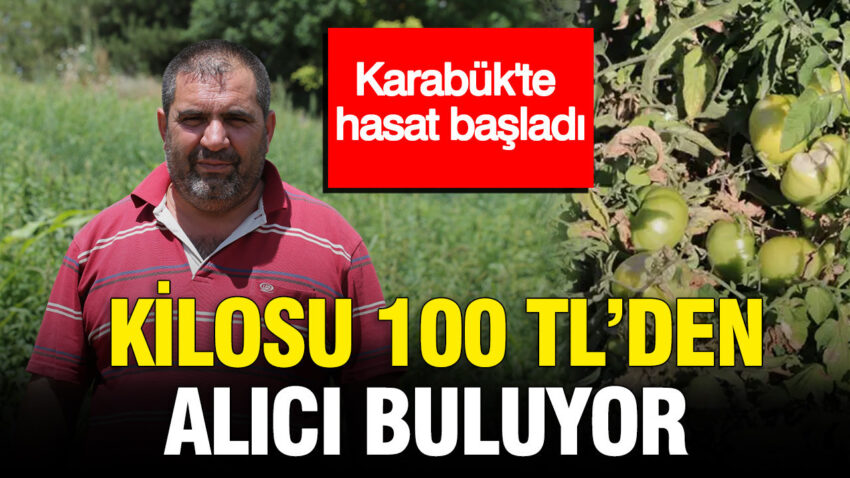 Karabukte hasat basladi kilosu 100 tlden alici buluyor EbAAyNqC.jpg