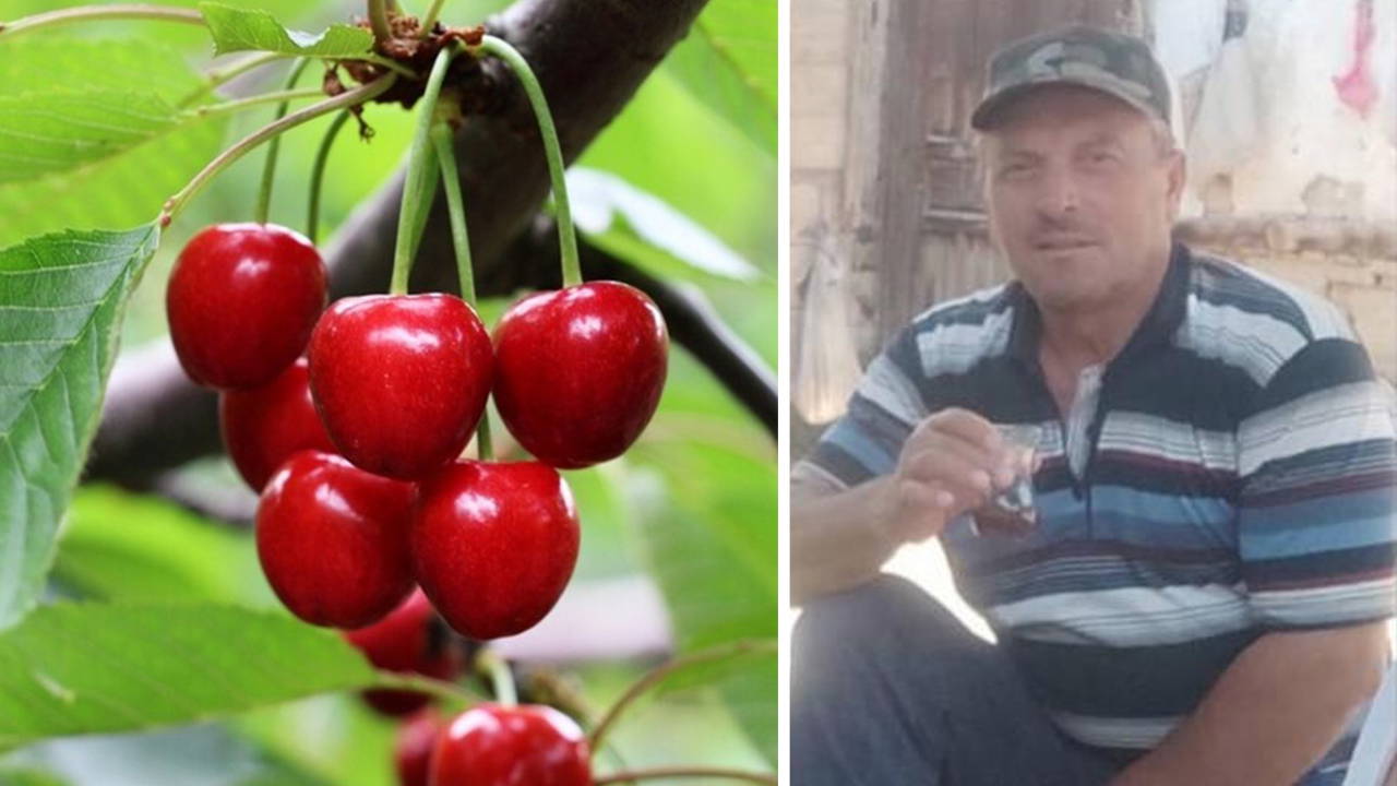 Kastamonu’da kiraz yiyen çift hayatını kaybetti: ‘Tarım ilacı’ şüphesi