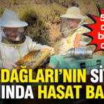 Kazdaglarinin siyah altininda hasat basladi 5 yildir dunya birincisi oluyor 9yVZepeN.png