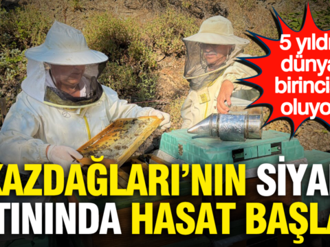 Kazdaglarinin siyah altininda hasat basladi 5 yildir dunya birincisi oluyor 9yVZepeN.png