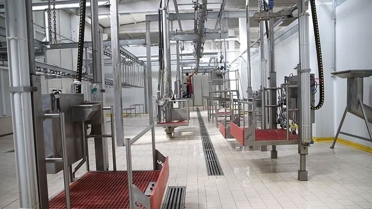 Kesimhanelerde kamera zorunlulugu 2027de baslayacak MNQEkeGx.jpg