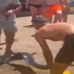 Kilic baligini sahile cikaran kisi buyuk tepki cekti ceza uygulandi js64Kbpe.jpg