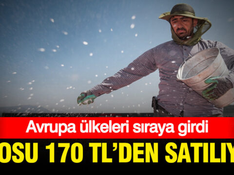 Kilosu 170 tlden satiliyor avrupa ulkeleri siraya girdi aOPFvizb.jpg