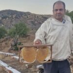 Kilosu 2 bin 200 lira bal fiyatlari belli oldu 2xpLu2j8.jpg