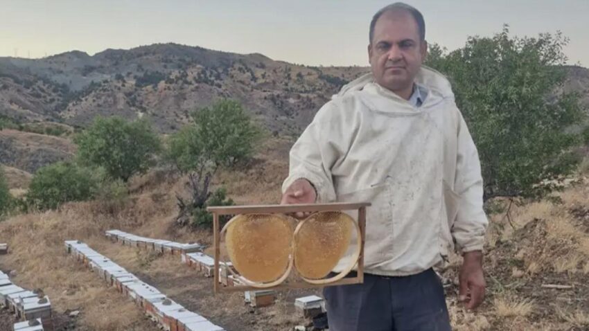 Kilosu 2 bin 200 lira bal fiyatlari belli oldu 2xpLu2j8.jpg