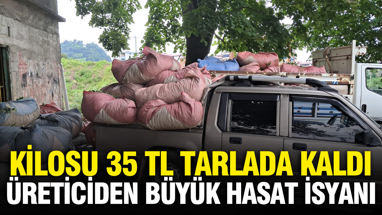 Kilosu 35 liradan tarlada satılamıyor: Üretici dertli