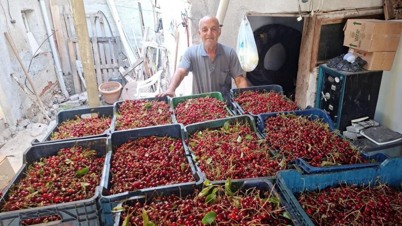 Kilosu 40 TL, işçi yevmiyesini bile karşılamıyor!