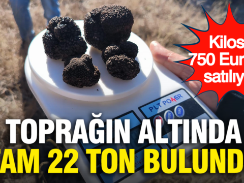 Kilosu 750 euroya satiliyor topragin altinda tam 22 ton bulundu IgsDtiIO.png