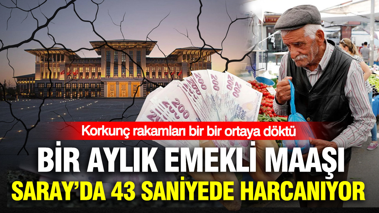 Korkunç rakamları bir bir ortaya döktü: Bir aylık emekli maaşı Saray’da 43 saniyede harcanıyor