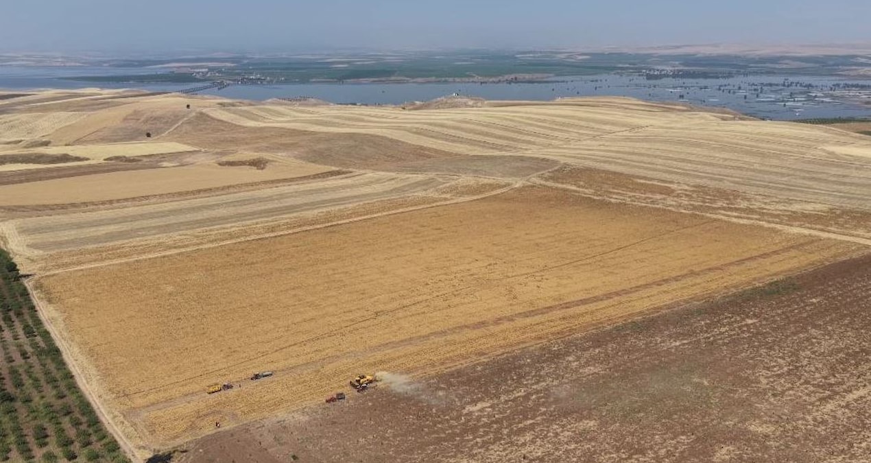 Kupkuru arazide yetiştirip kilosu 45 TL’ye satıyorlar: O şehrimizde rekor artış yaşandı