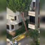 Maltepe haraketli anlar ciglik sesleri yukseldi kadina siddet iddiasina tasli cevap M4slLn2r.jpg