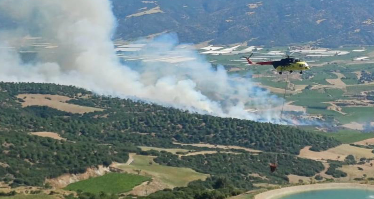 Manisa ve Muğla’daki orman yangınları kontrol altında