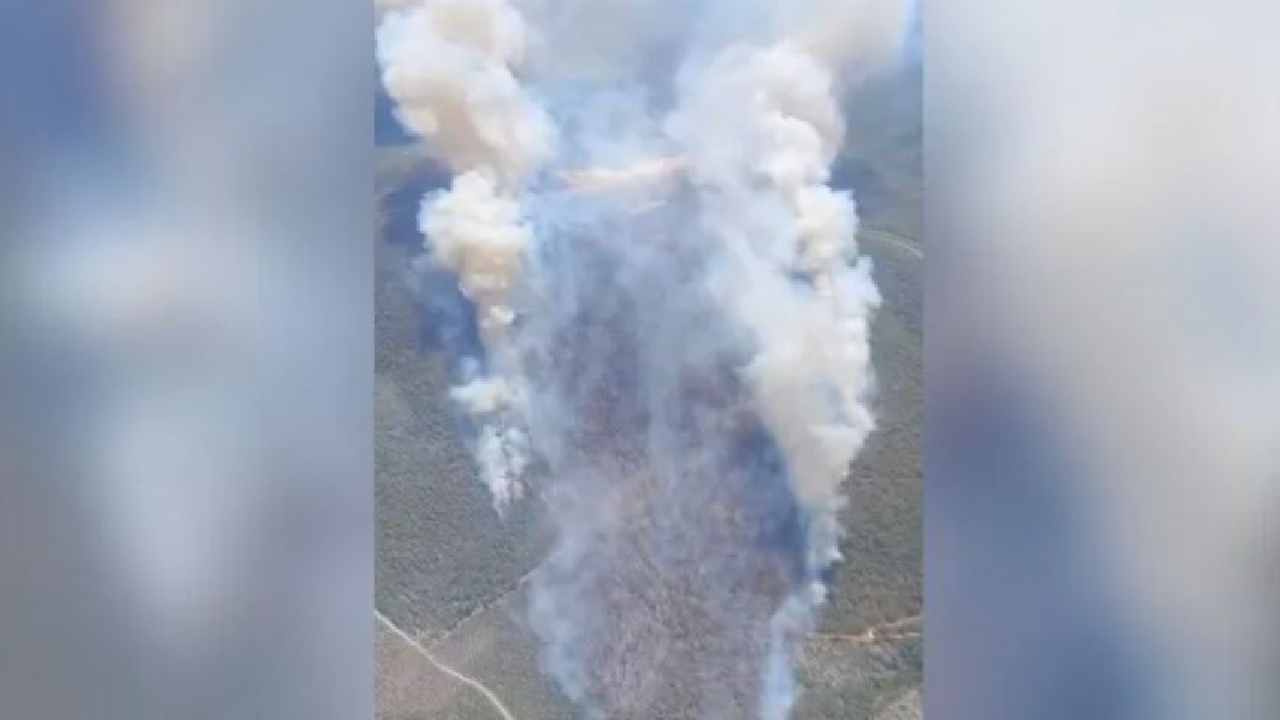 Manisa’da orman yangını çıktı! Ekipler zamanla yarışıyor