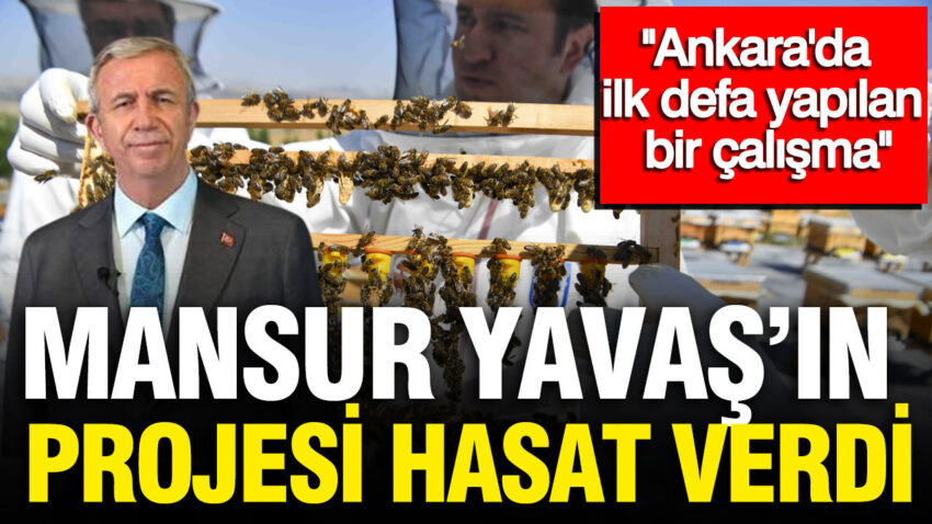Mansur yavasin projesi ata ciftliginde ilk hasat yapildi TzjCyTVm.jpg